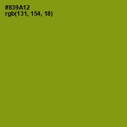 #839A12 - Olive Color Image