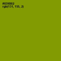 #839B02 - Olive Color Image