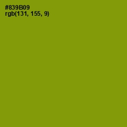 #839B09 - Olive Color Image