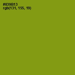 #839B13 - Olive Color Image