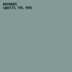 #839B95 - Mantle Color Image