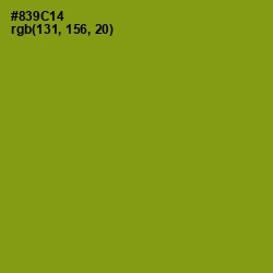 #839C14 - Olive Color Image