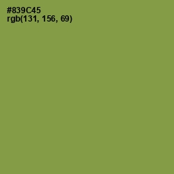 #839C45 - Chelsea Cucumber Color Image