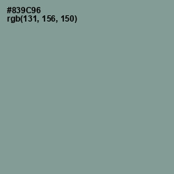 #839C96 - Mantle Color Image