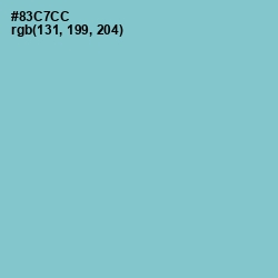 #83C7CC - Half Baked Color Image