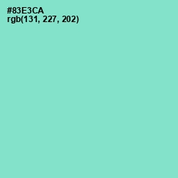 #83E3CA - Riptide Color Image