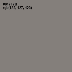 #847F7B - Hurricane Color Image