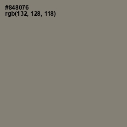 #848076 - Bandicoot Color Image