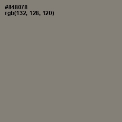 #848078 - Bandicoot Color Image