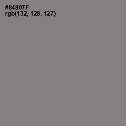 #84807F - Schooner Color Image