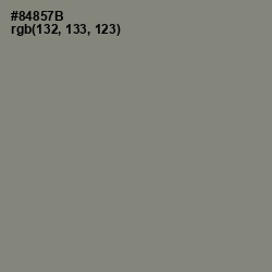 #84857B - Schooner Color Image