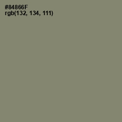 #84866F - Avocado Color Image