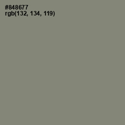 #848677 - Bandicoot Color Image