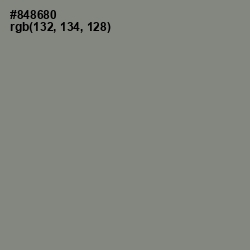 #848680 - Gunsmoke Color Image