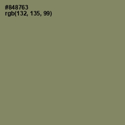 #848763 - Avocado Color Image