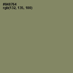 #848764 - Avocado Color Image