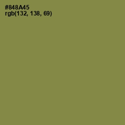 #848A45 - Clay Creek Color Image