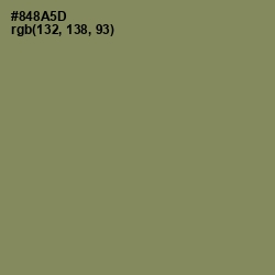 #848A5D - Avocado Color Image