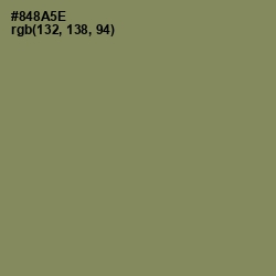 #848A5E - Avocado Color Image