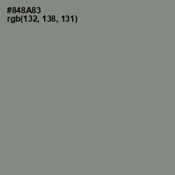 #848A83 - Gunsmoke Color Image