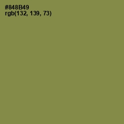 #848B49 - Clay Creek Color Image