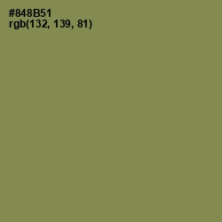 #848B51 - Clay Creek Color Image