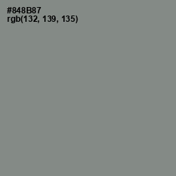 #848B87 - Gunsmoke Color Image