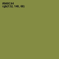 #848C44 - Clay Creek Color Image