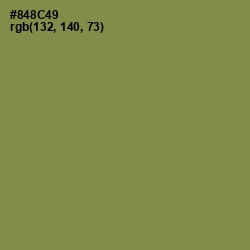 #848C49 - Clay Creek Color Image