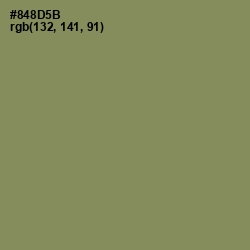 #848D5B - Avocado Color Image