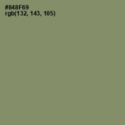 #848F69 - Avocado Color Image