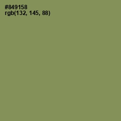 #849158 - Avocado Color Image