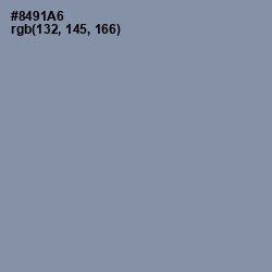 #8491A6 - Manatee Color Image