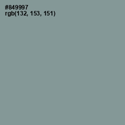 #849997 - Regent Gray Color Image