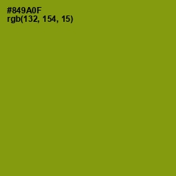 #849A0F - Olive Color Image