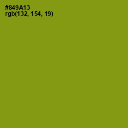 #849A13 - Olive Color Image