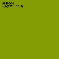 #849D04 - Olive Color Image