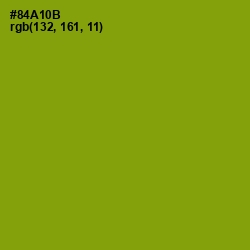 #84A10B - Citron Color Image