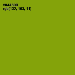 #84A30B - Citron Color Image