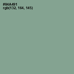 #84A491 - Envy Color Image