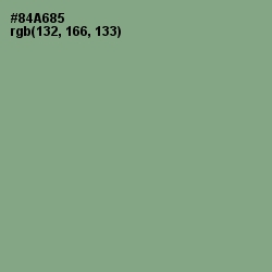 #84A685 - Envy Color Image