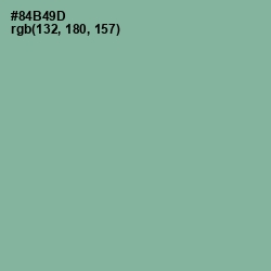 #84B49D - Envy Color Image