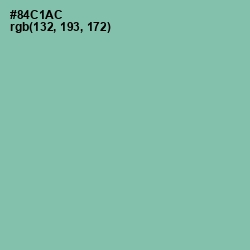 #84C1AC - Vista Blue Color Image