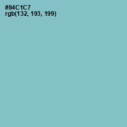 #84C1C7 - Half Baked Color Image