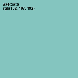 #84C5C0 - Half Baked Color Image