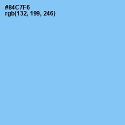 #84C7F6 - Seagull Color Image