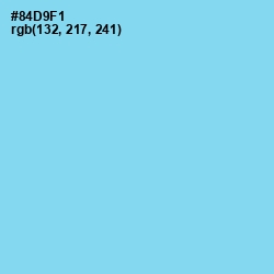 #84D9F1 - Seagull Color Image