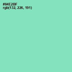 #84E2BF - Algae Green Color Image