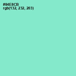 #84E8CB - Riptide Color Image