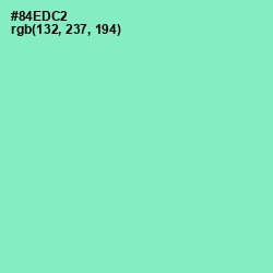 #84EDC2 - Riptide Color Image